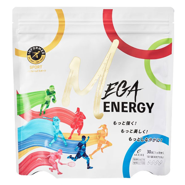 MEGA ENERGY