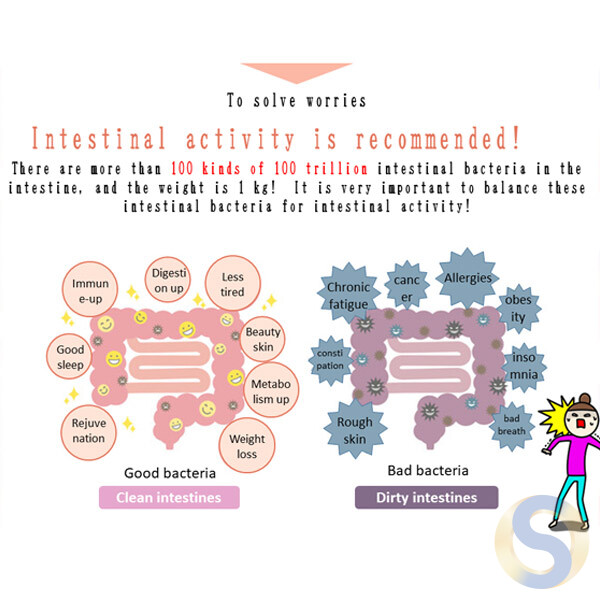 Enzymes x Lactobacillus x Vitamins B&C (Supplement) - 画像 (2)