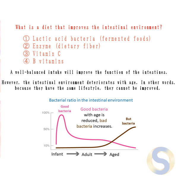 Enzymes x Lactobacillus x Vitamins B&C (Supplement) - 画像 (3)