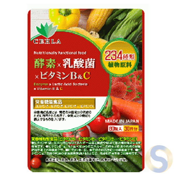 Enzymes x Lactobacillus x Vitamins B&C (Supplement)