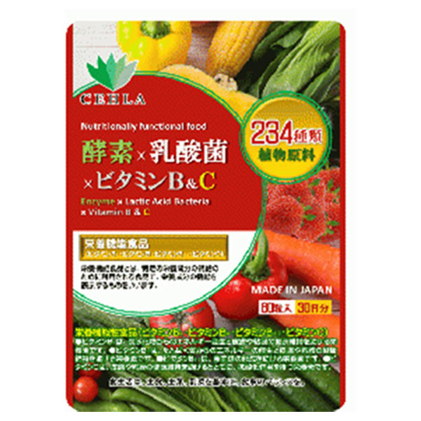 Enzymes x Lactobacillus x Vitamins B&C (Supplement)