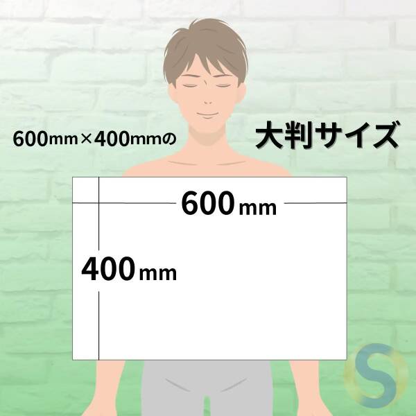 Large Cooling Body Wipes 600 x 400mm 20pcs - 画像 (2)